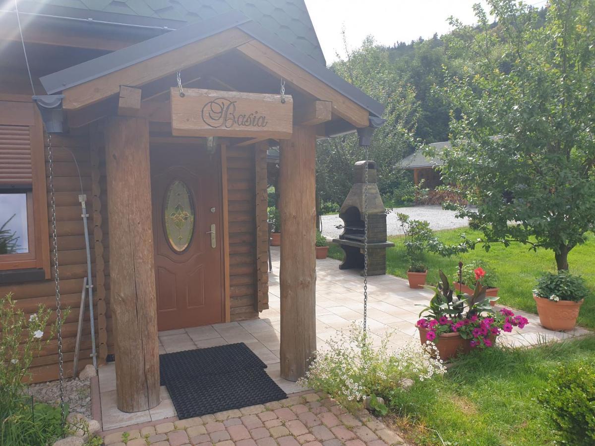 Sobieszow Apartament Basia Zielone Wzgorze -Willa Tosia Extérieur photo